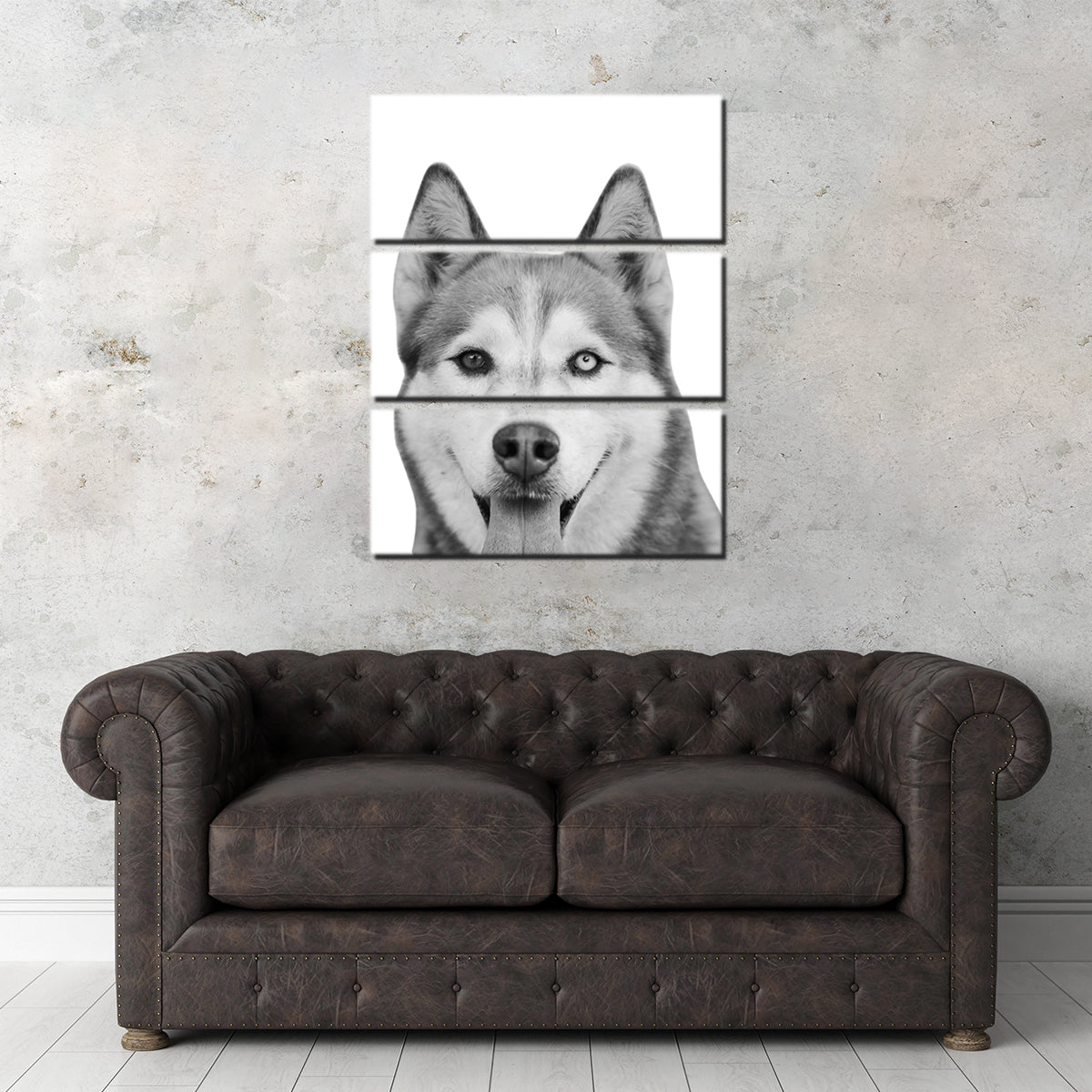 Funny Siberian Husky Wall Art