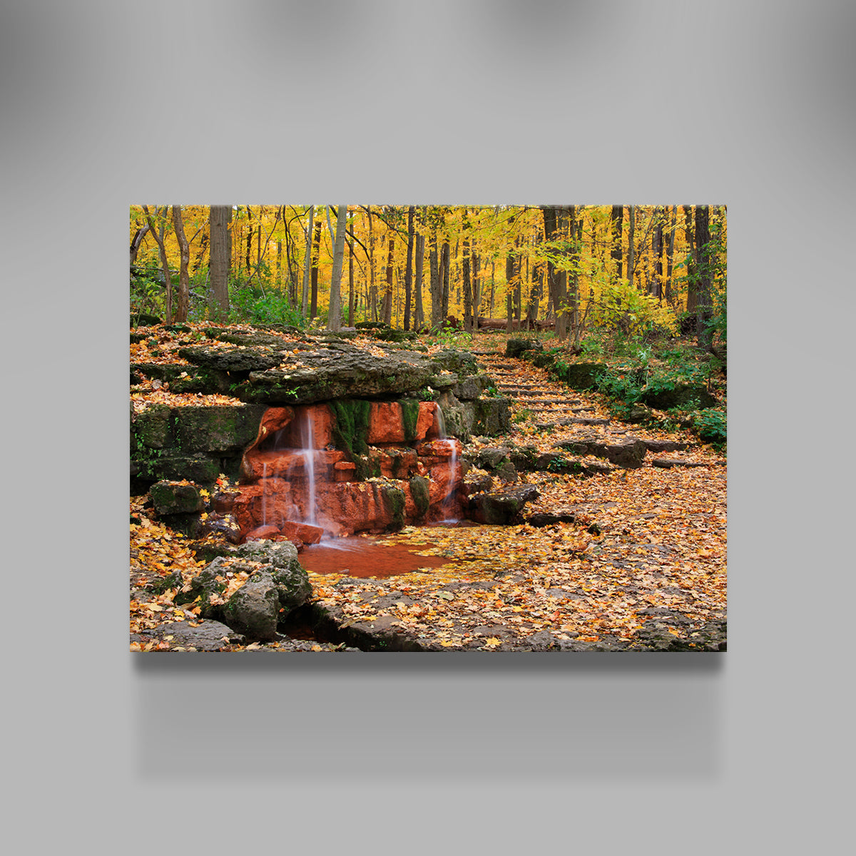 Glen Helen Nature Preserve Wall Art