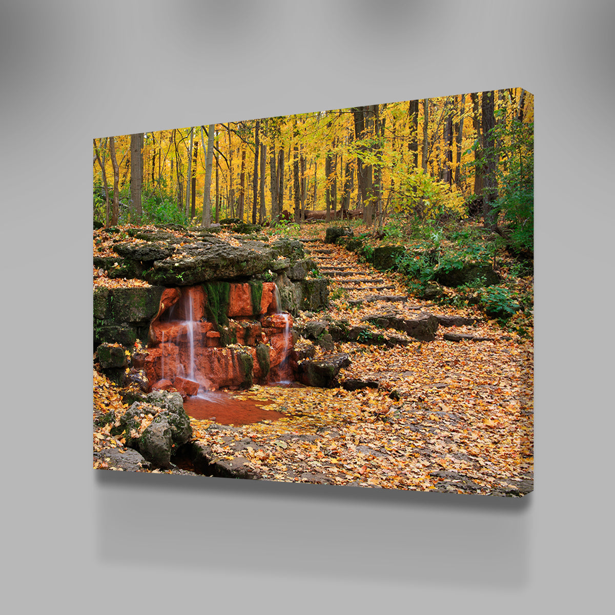 Glen Helen Nature Preserve Wall Art