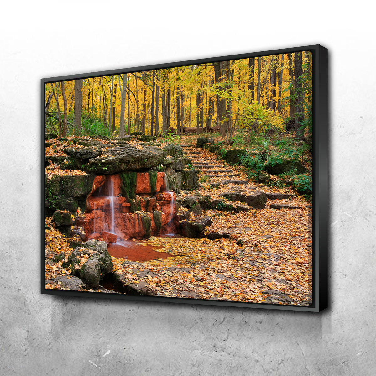 Glen Helen Nature Preserve Wall Art