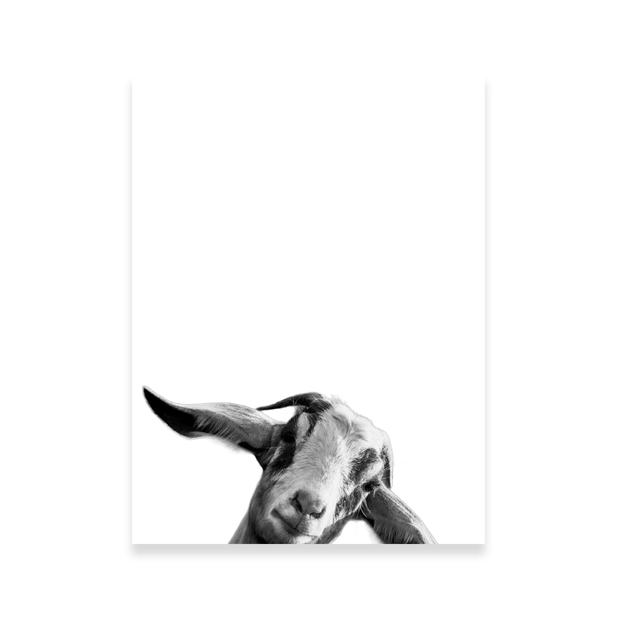 Goat Wall Art