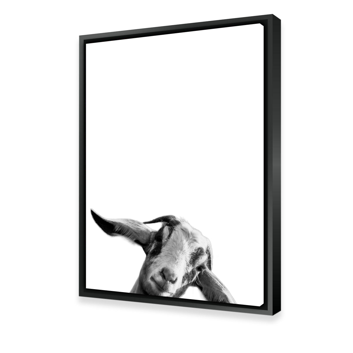 Goat Wall Art