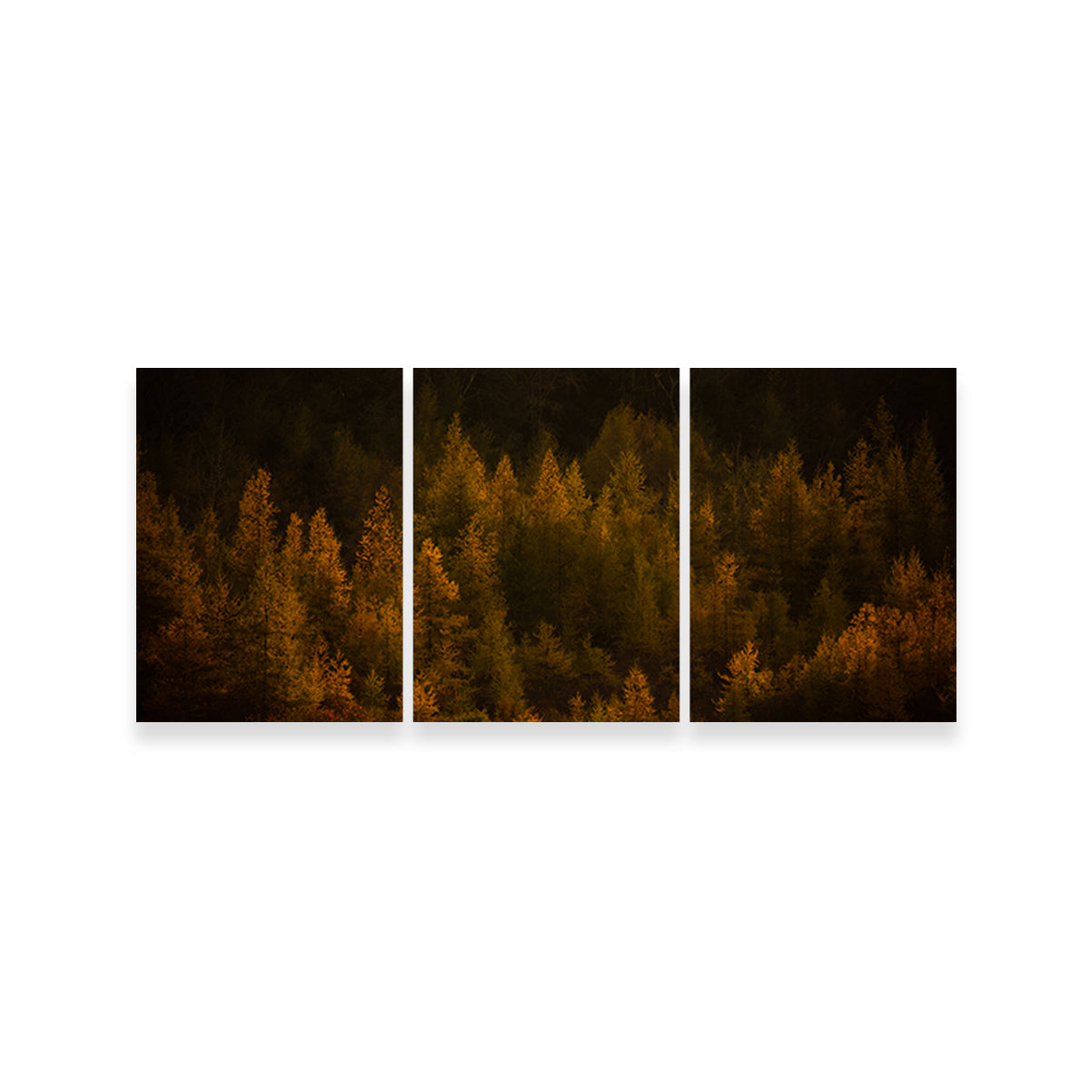 Golden Slumber Wall Art