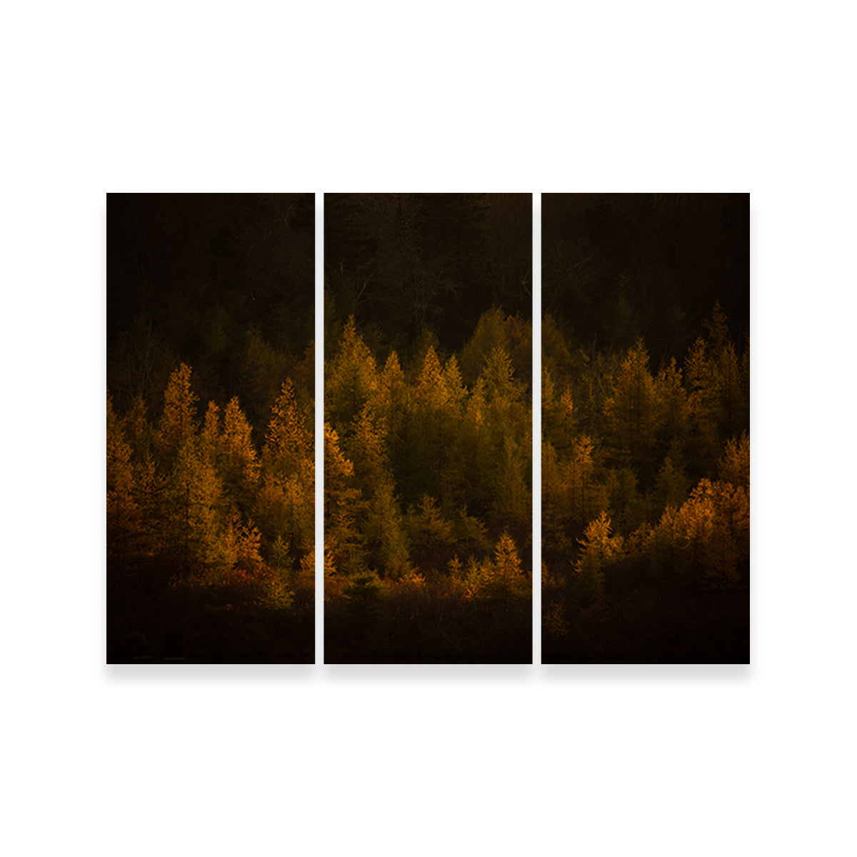 Golden Slumber Wall Art