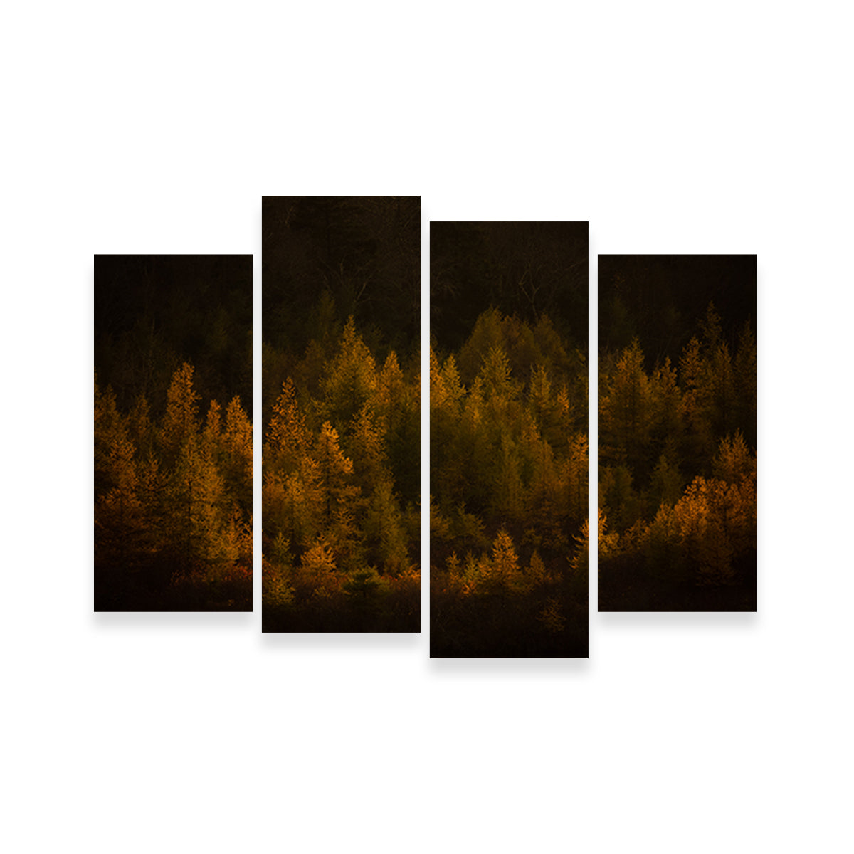 Golden Slumber Wall Art