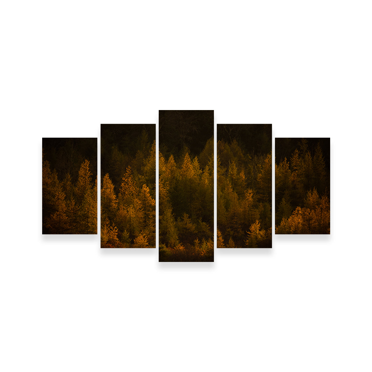 Golden Slumber Wall Art