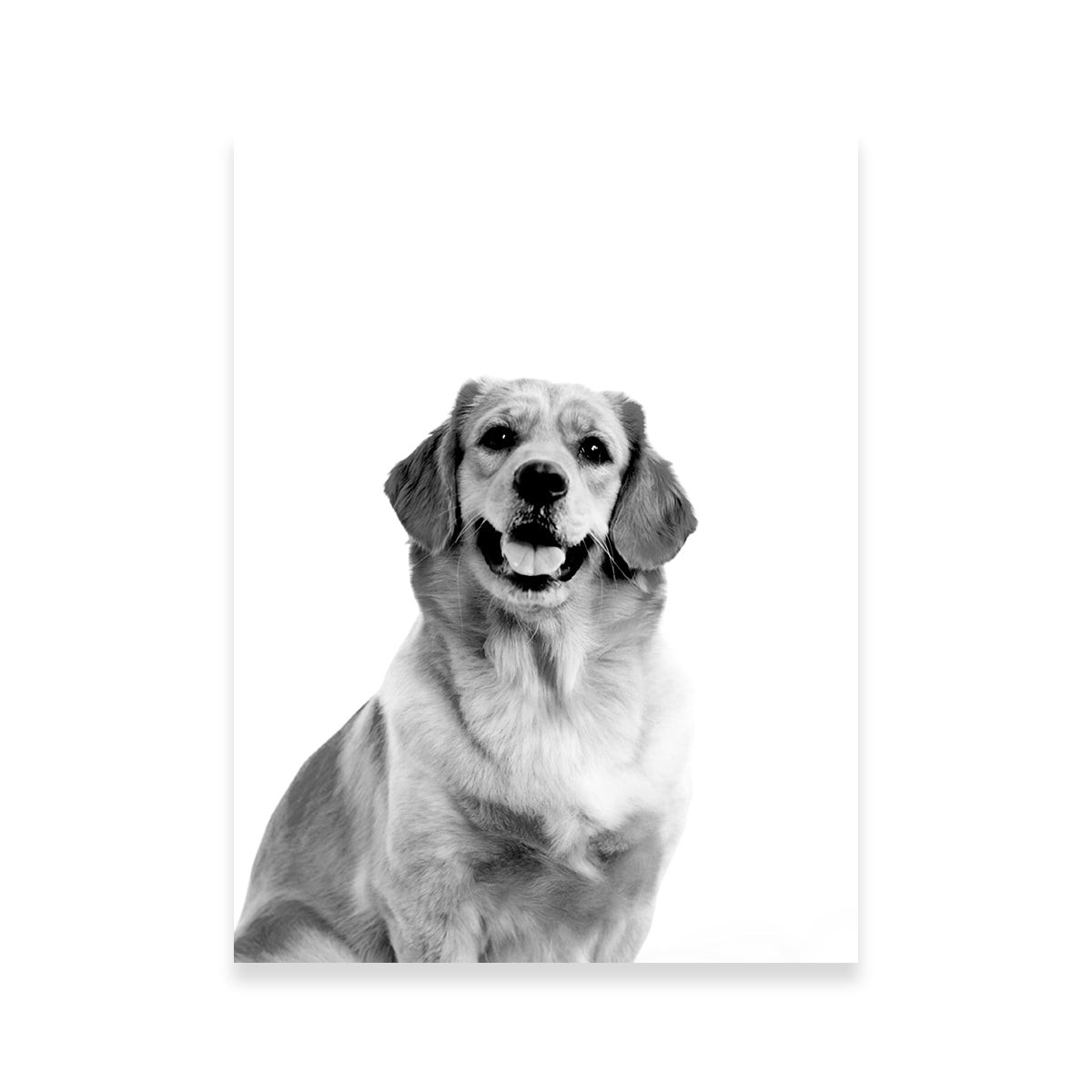 Golden Retriever Wall Art