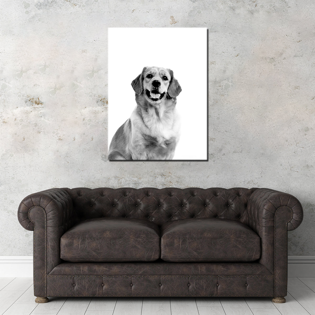 Golden Retriever Wall Art