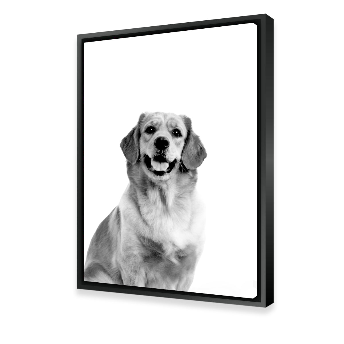 Golden Retriever Wall Art