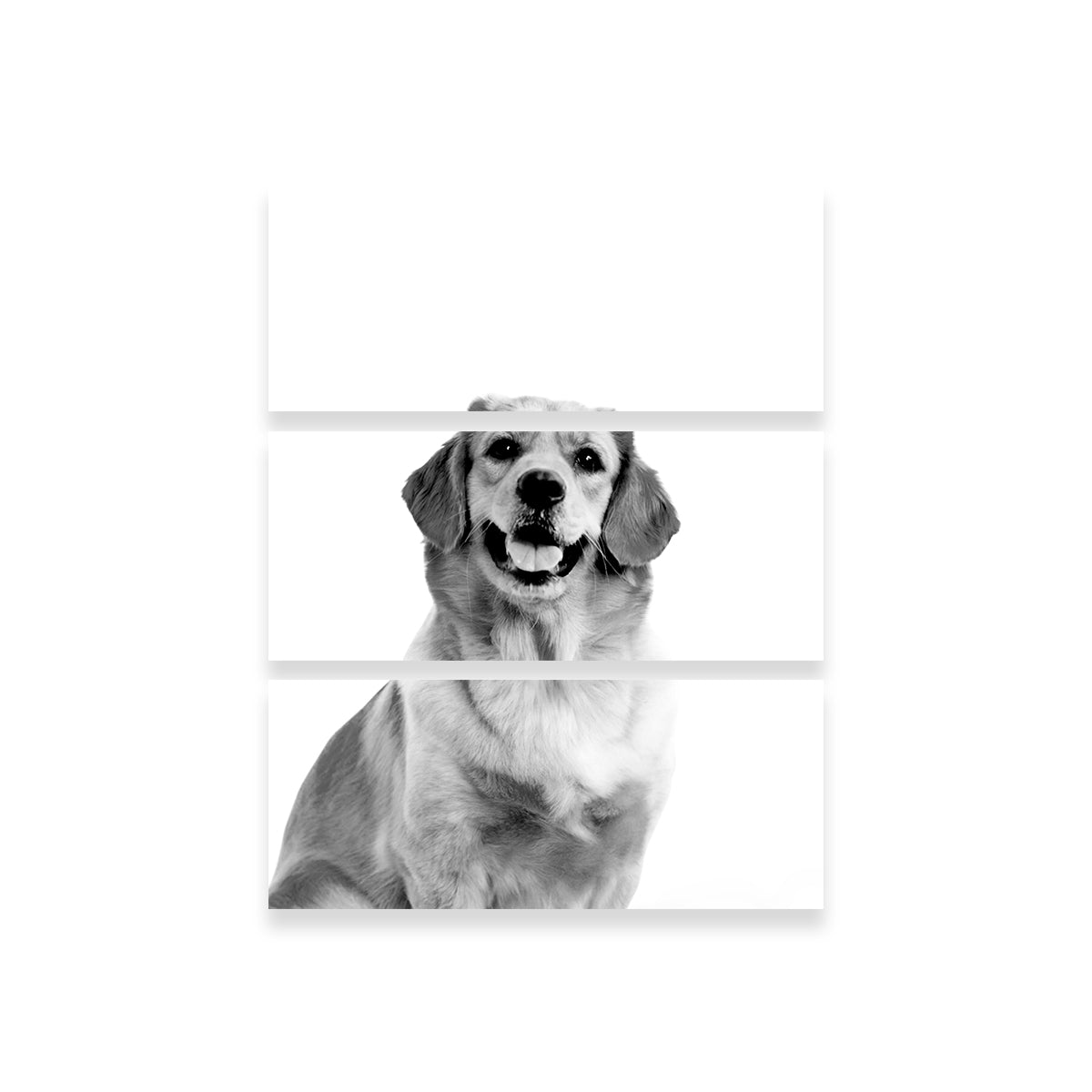 Golden Retriever Wall Art