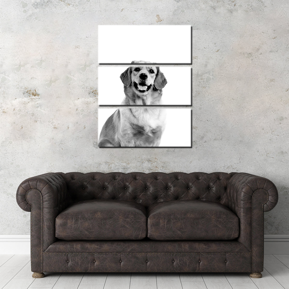Golden Retriever Wall Art