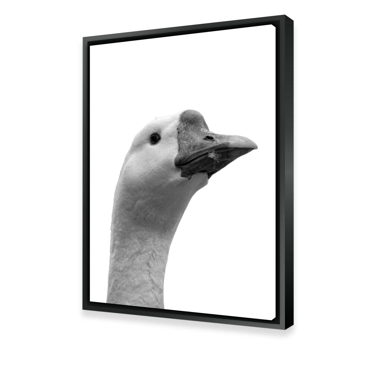Goose Head Wall Art