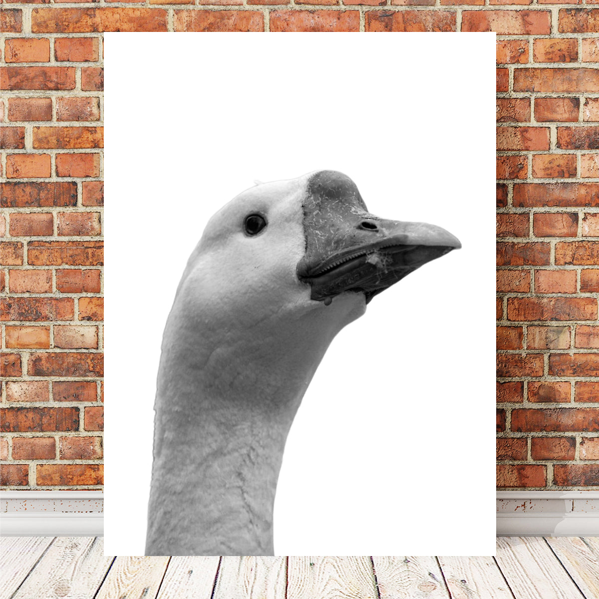 Goose Head Wall Art