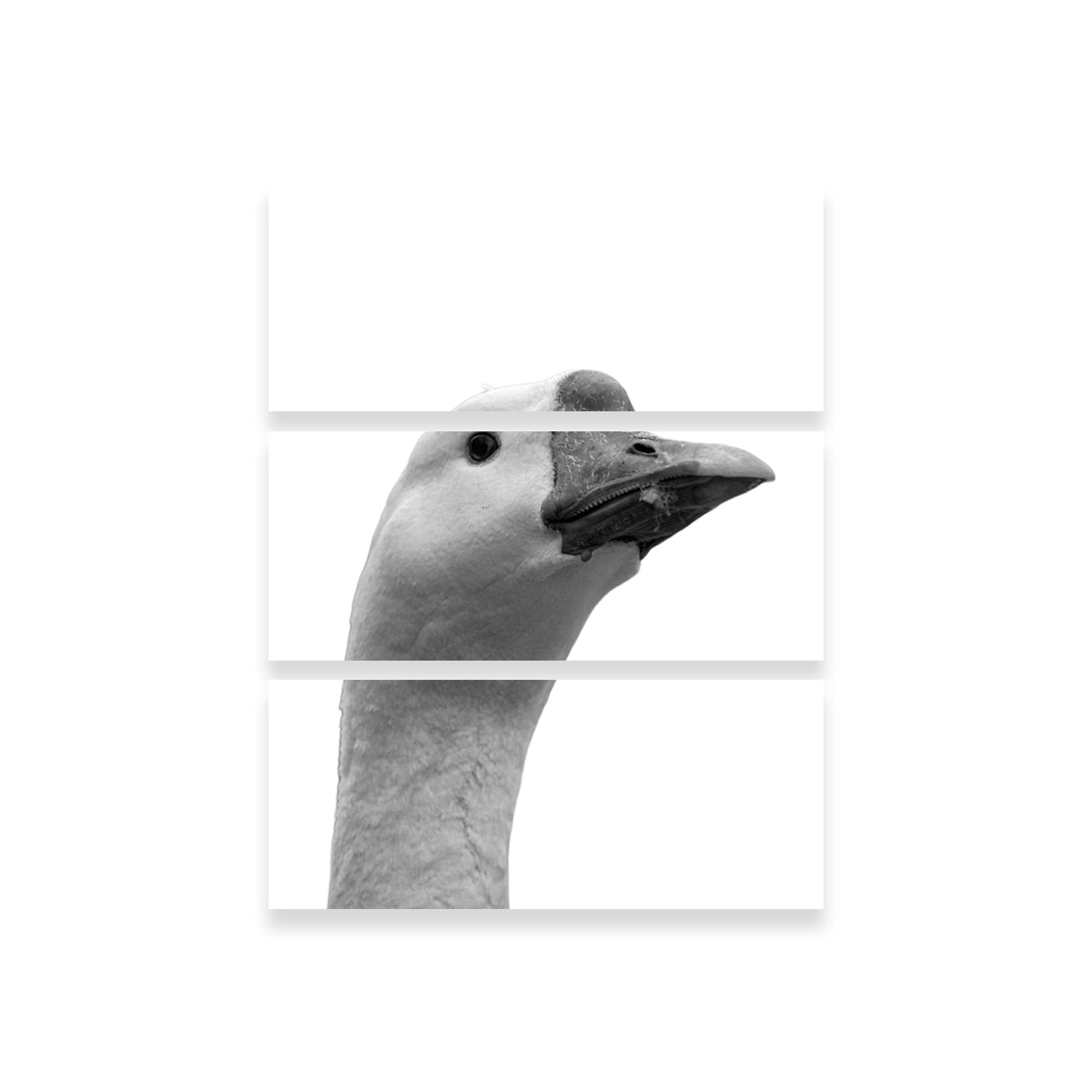 Goose Head Wall Art