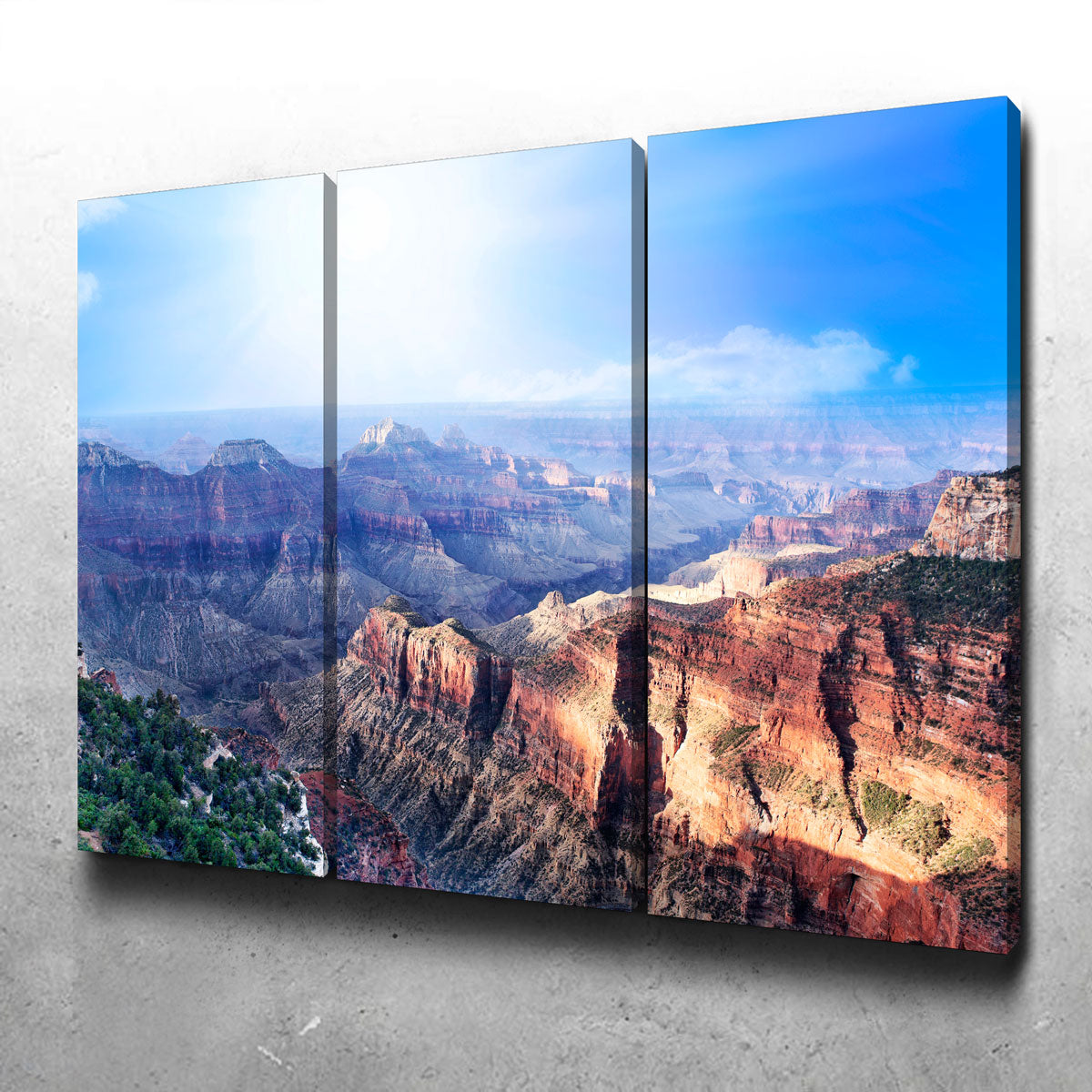 Grand Canyon Looking From The North Rim Wall Art