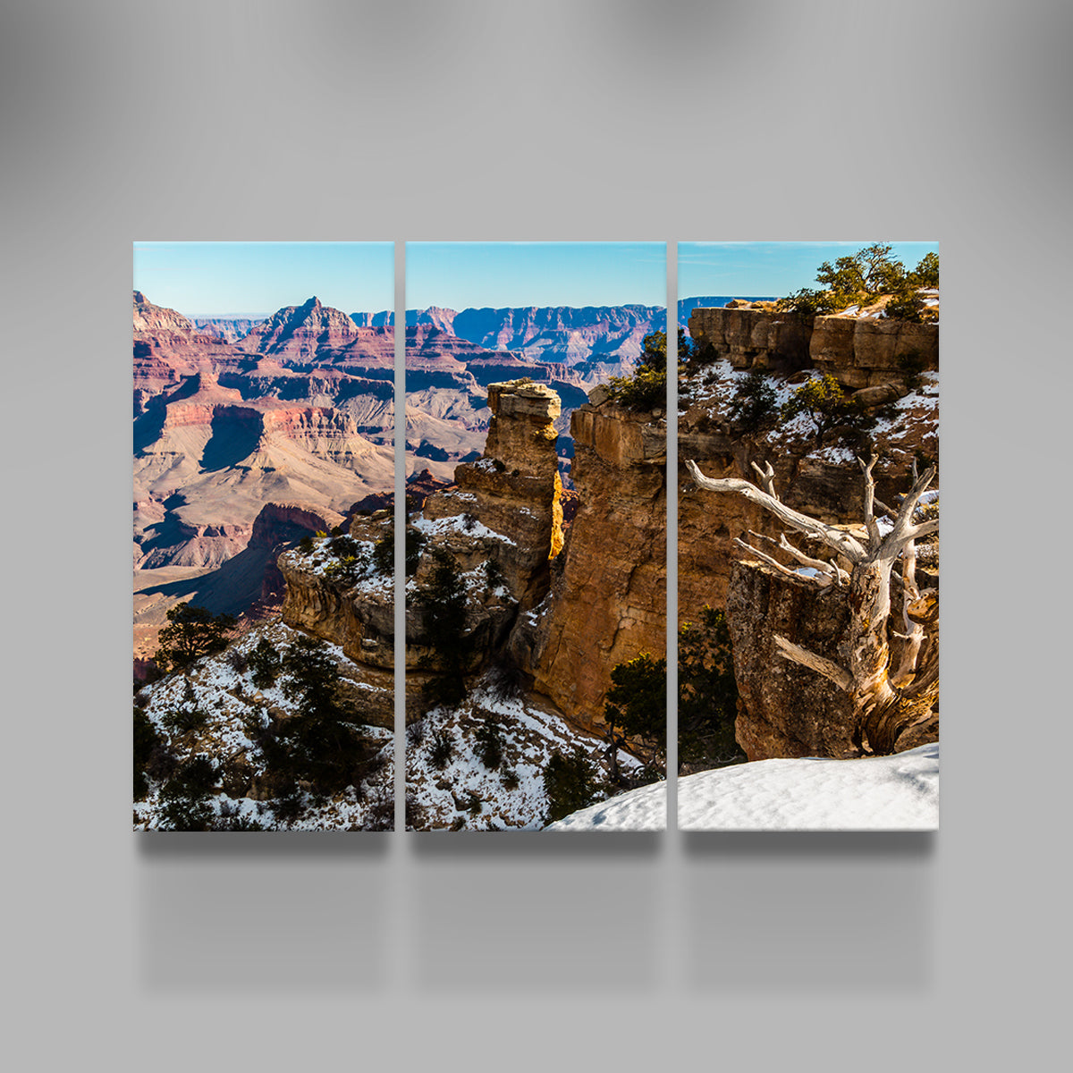 Grandview Point Canvas Wall Art
