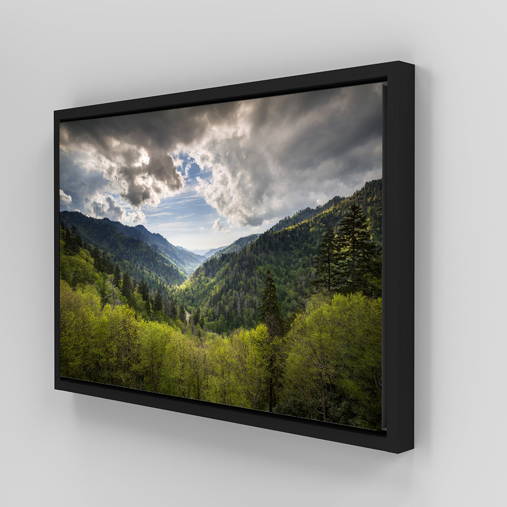 Great Smoky Mountains National Park Wall Art