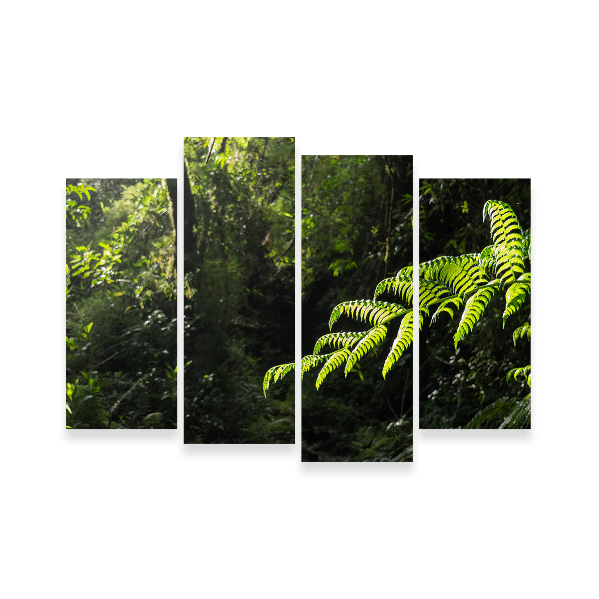 Green Samambaia Wall Art