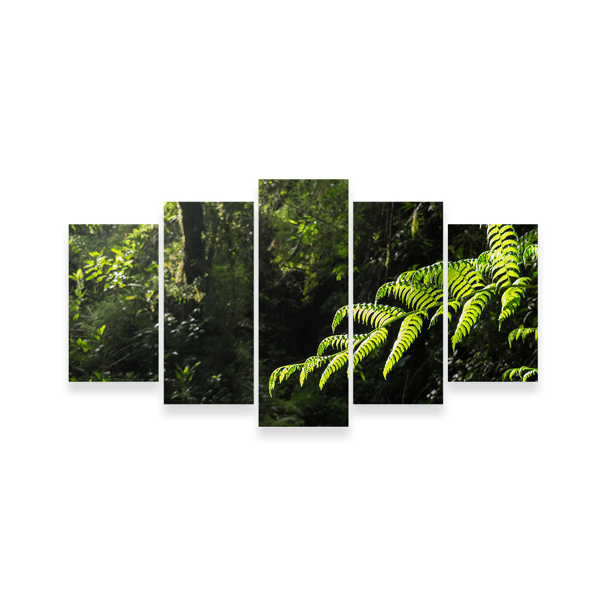 Green Samambaia Wall Art