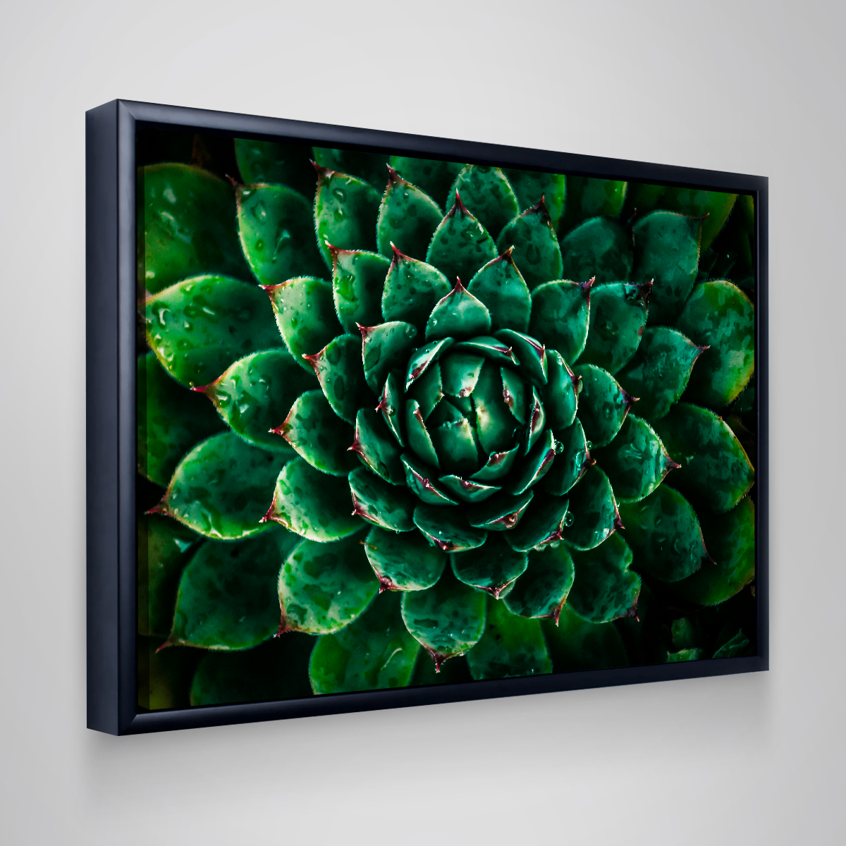 Green Wall Art