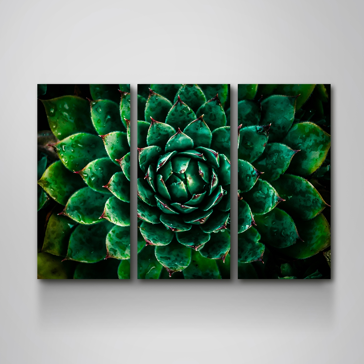Green Wall Art