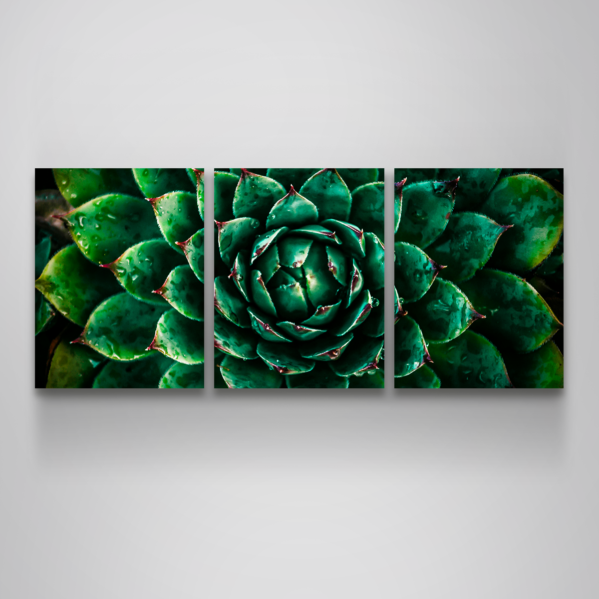 Green Wall Art