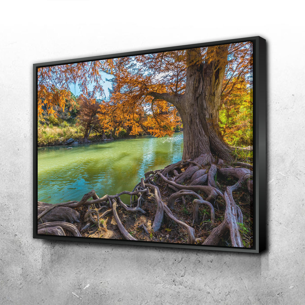 Guadalupe State Park Wall Art