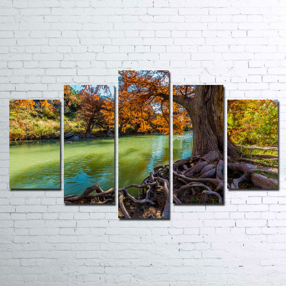 Guadalupe State Park Wall Art