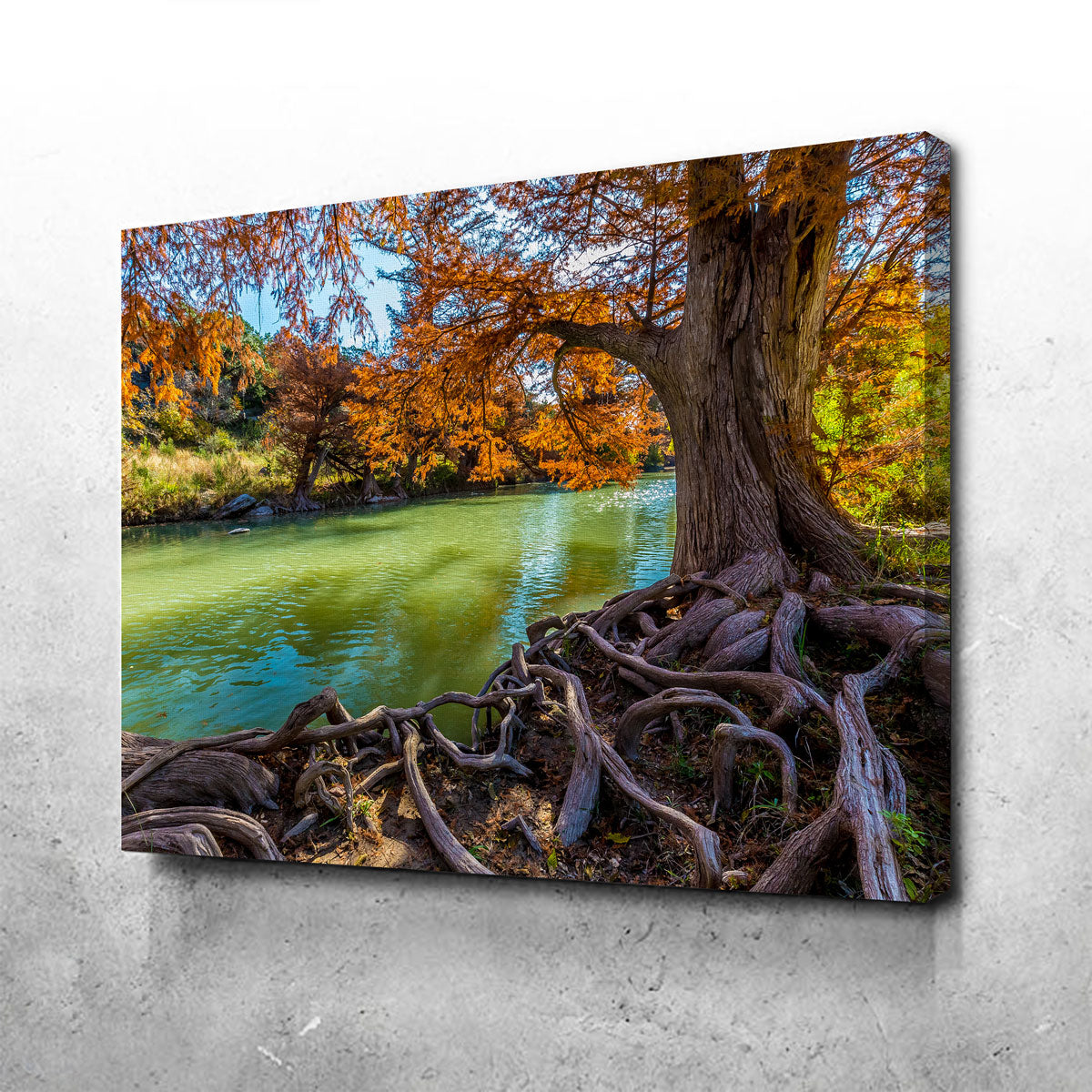 Guadalupe State Park Wall Art