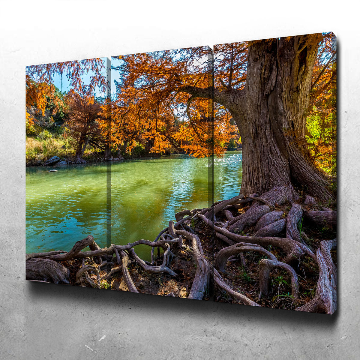 Guadalupe State Park Wall Art