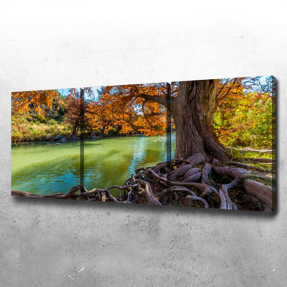 Guadalupe State Park Wall Art