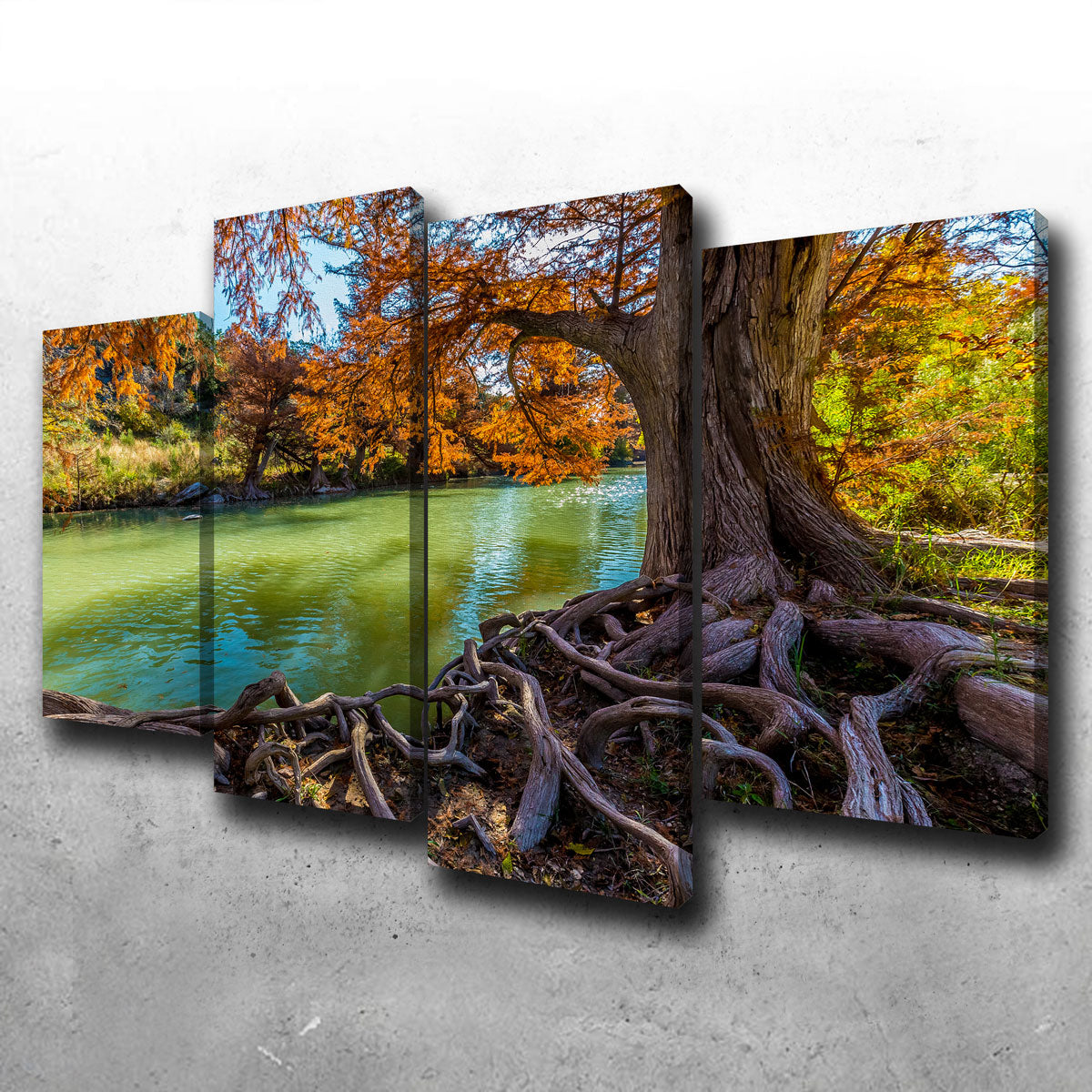 Guadalupe State Park Wall Art