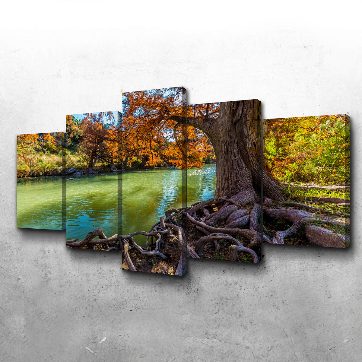 Guadalupe State Park Wall Art