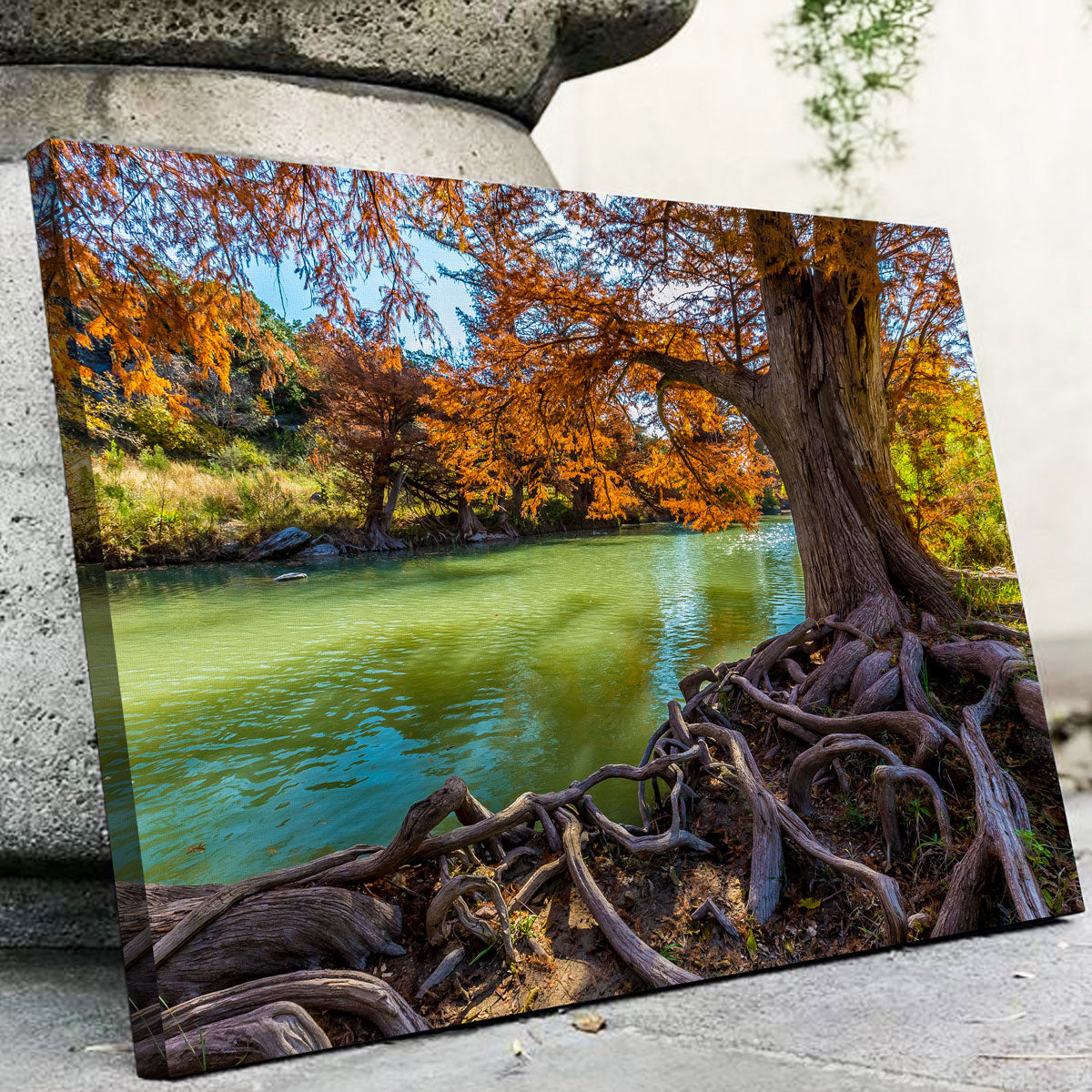 Guadalupe State Park Wall Art