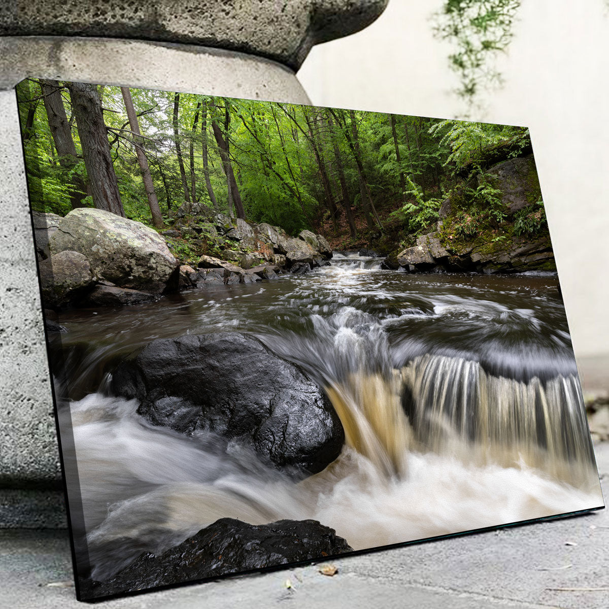 Black River in Summer Wall Art