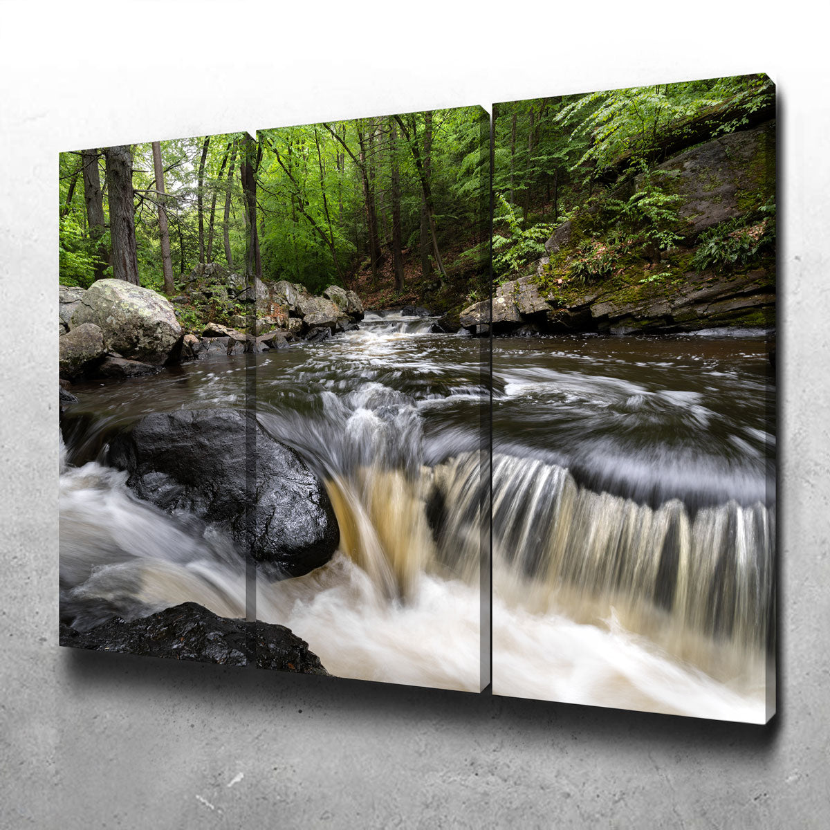 Black River in Summer Wall Art