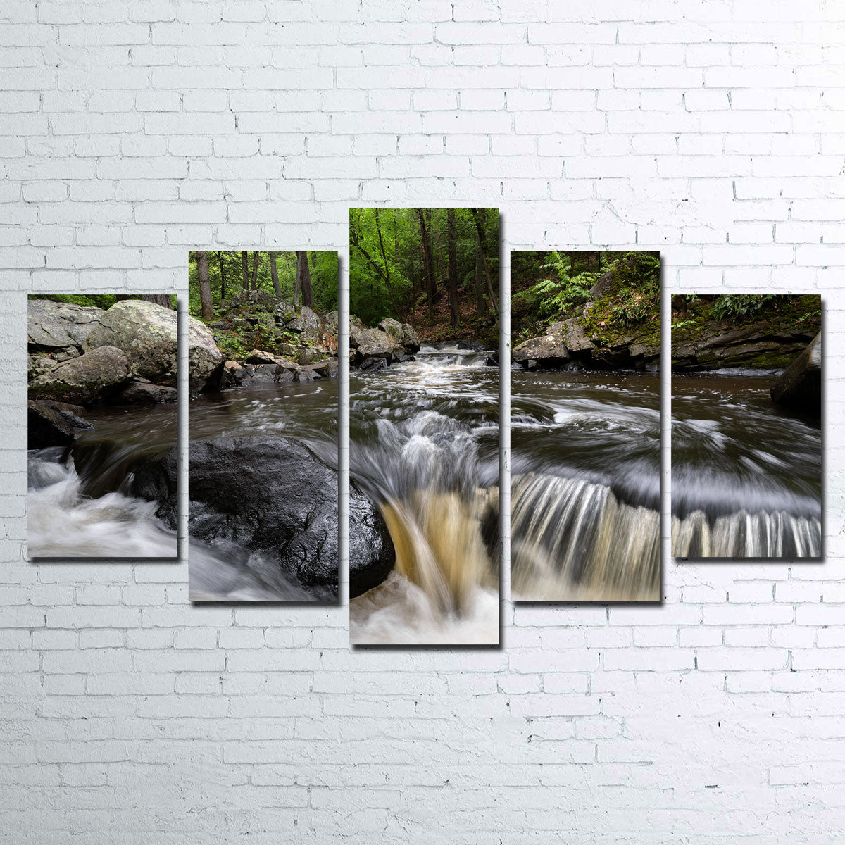 Black River in Summer Wall Art