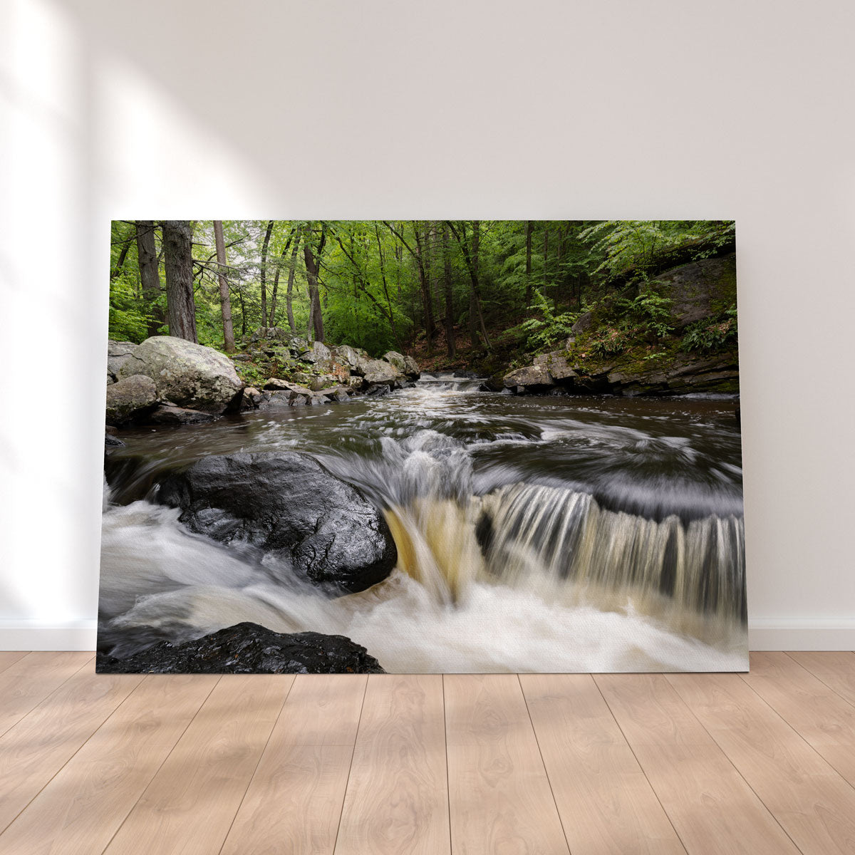 Black River in Summer Wall Art