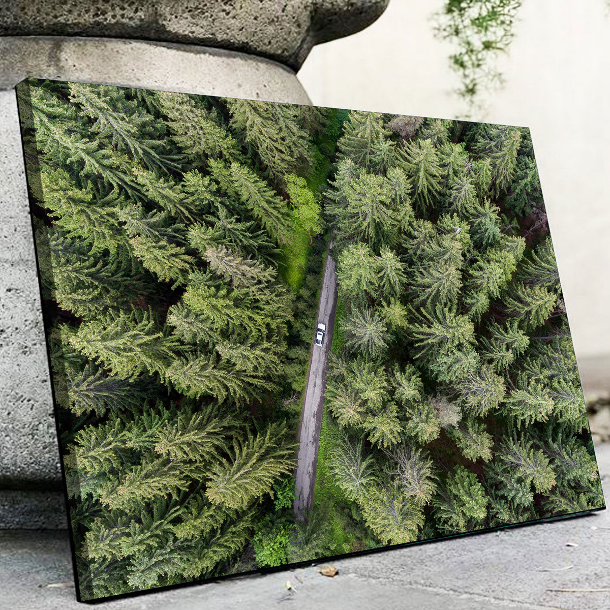 Hidden Road Wall Art