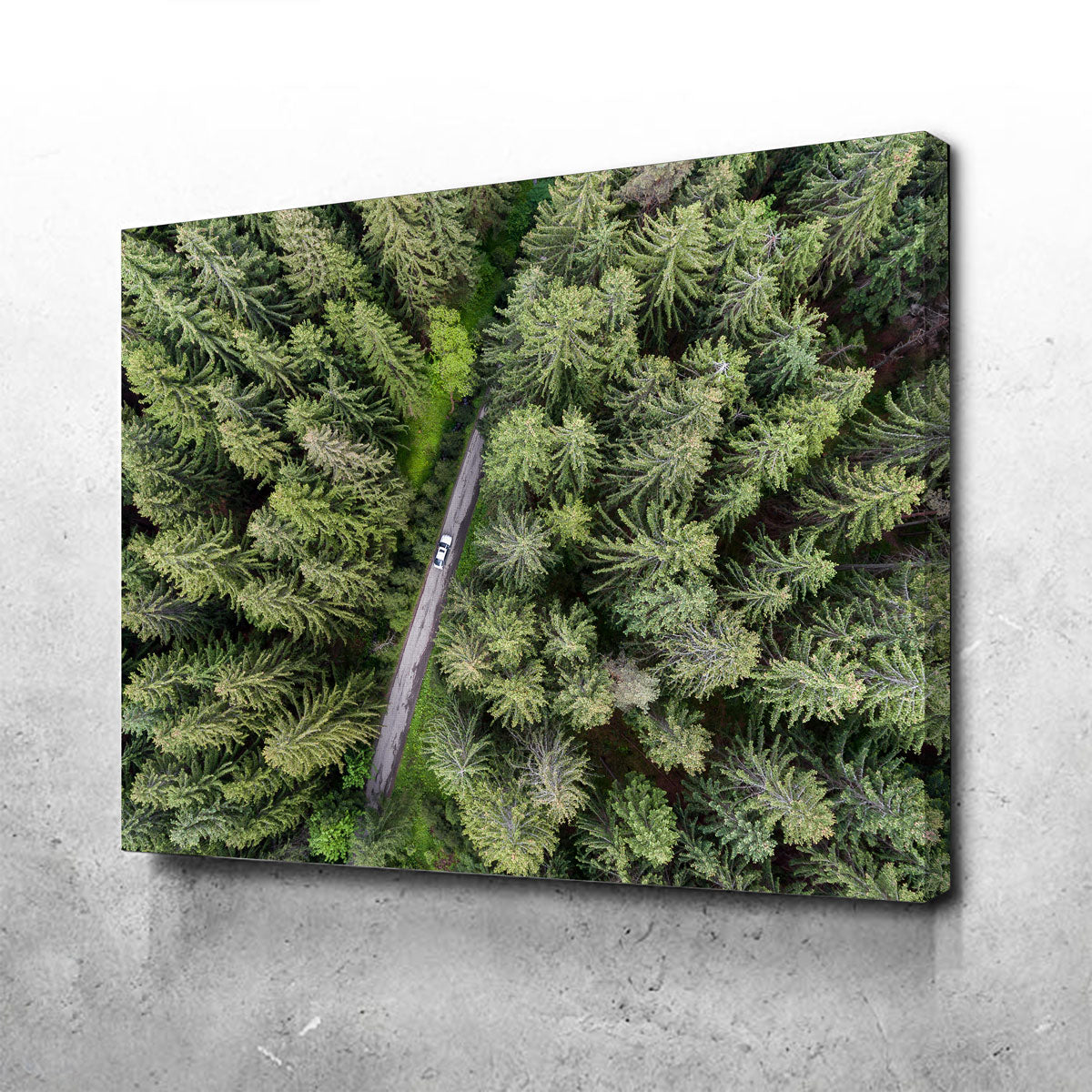 Hidden Road Wall Art