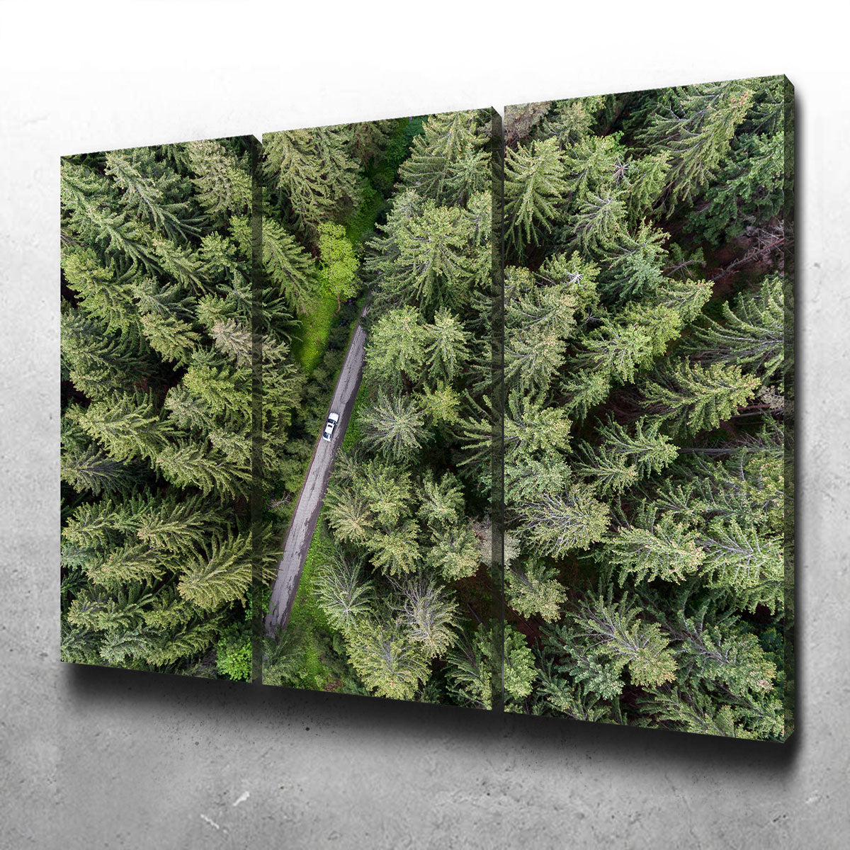 Hidden Road Wall Art