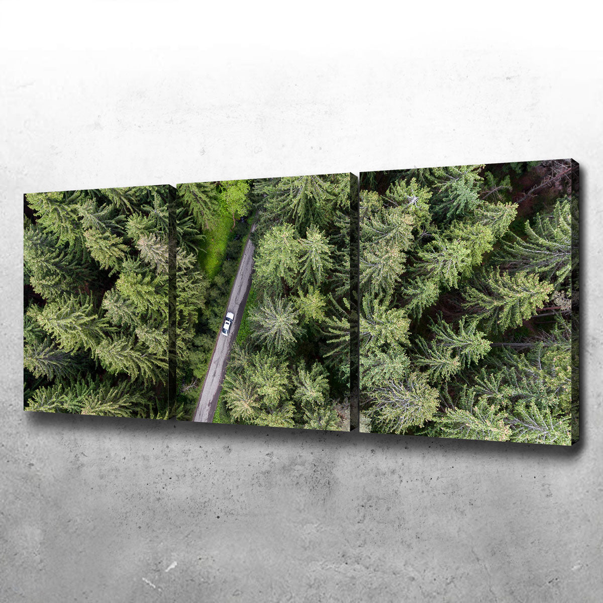 Hidden Road Wall Art
