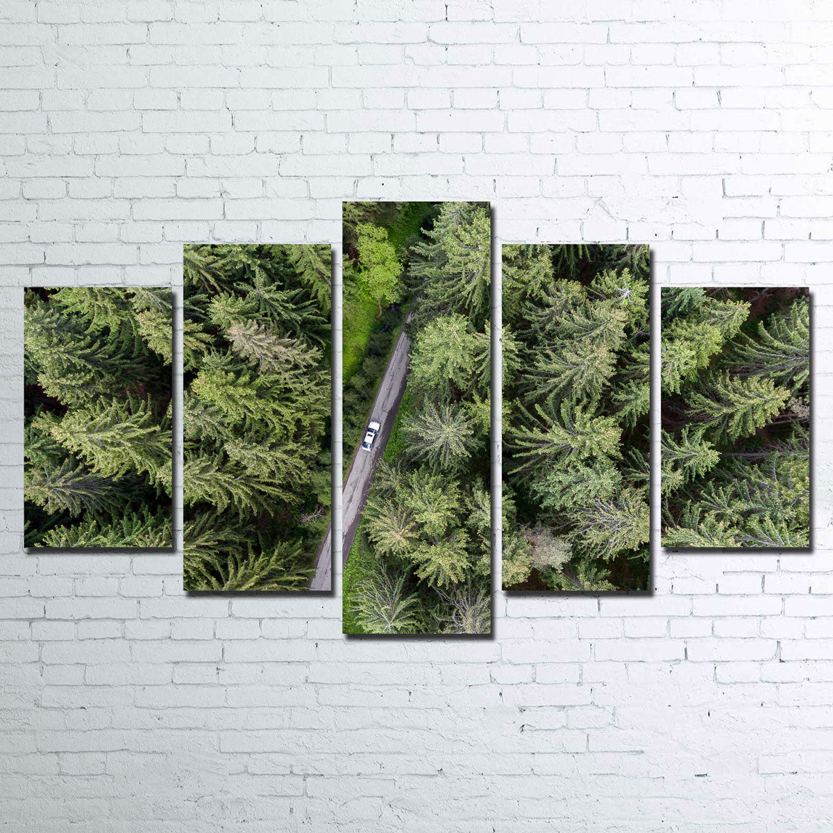 Hidden Road Wall Art