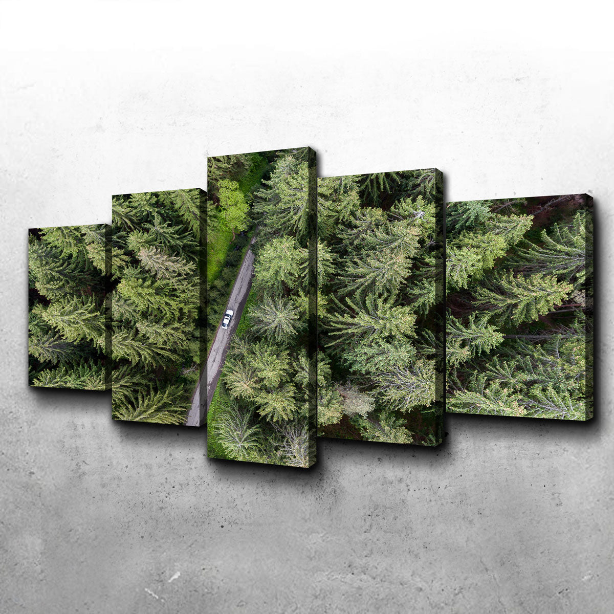 Hidden Road Wall Art