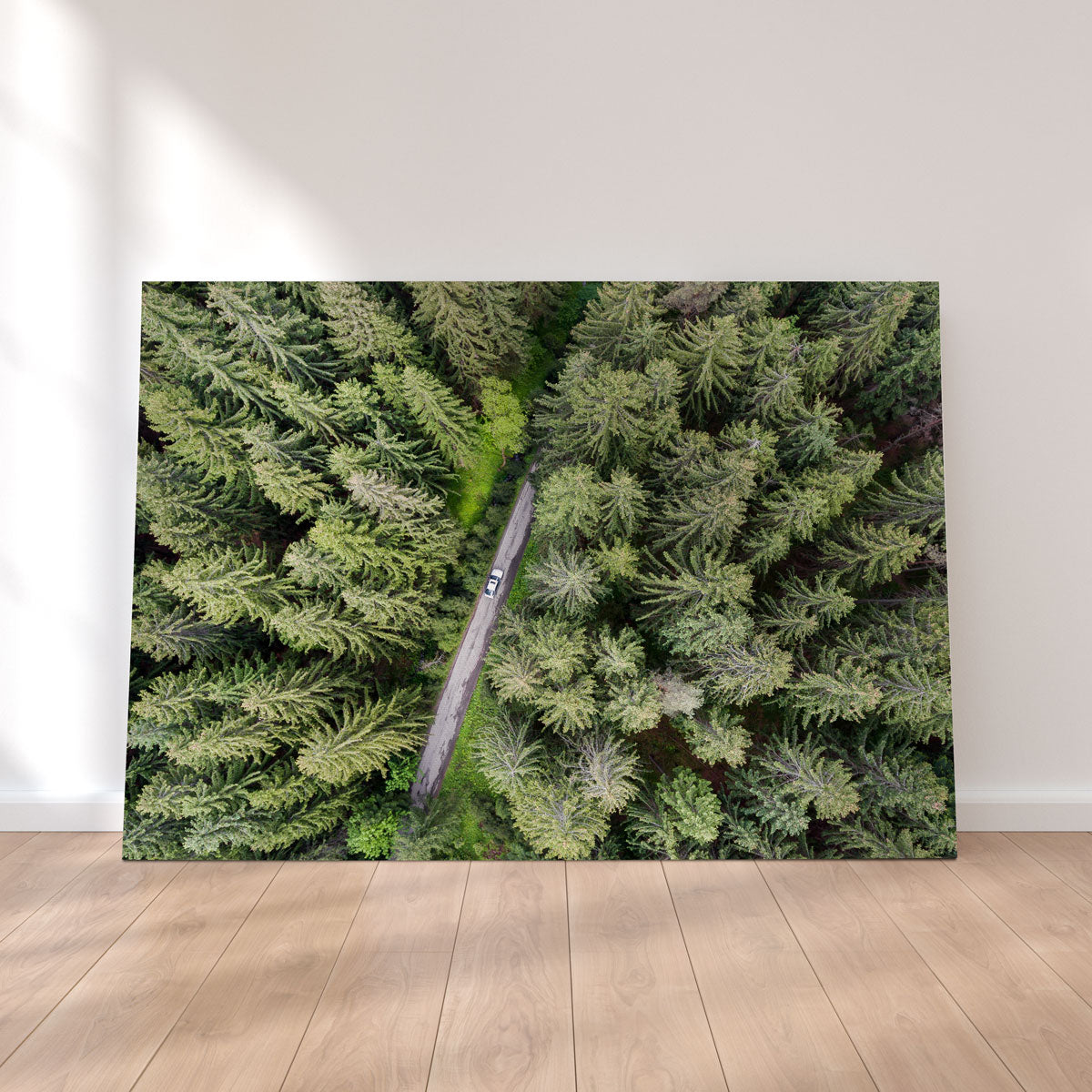 Hidden Road Wall Art