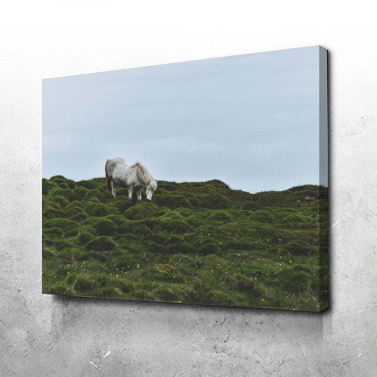 Icelandic Horse Canvas Set