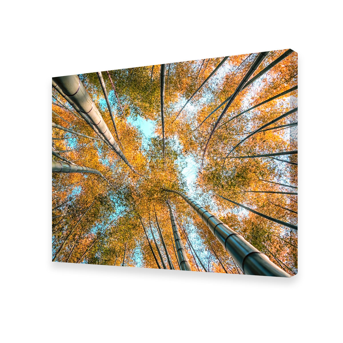 Into The Grove Wall Art