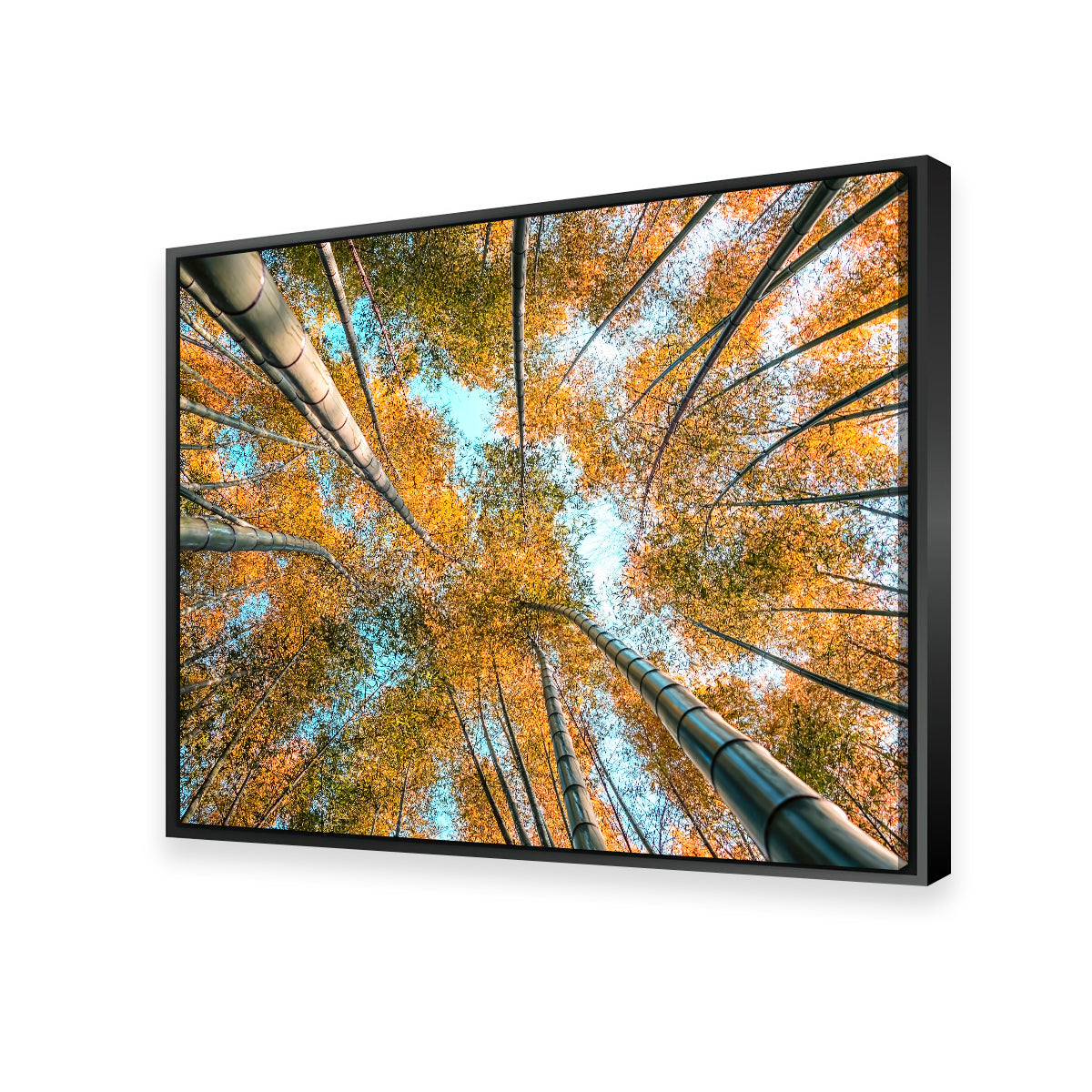 Into The Grove Wall Art