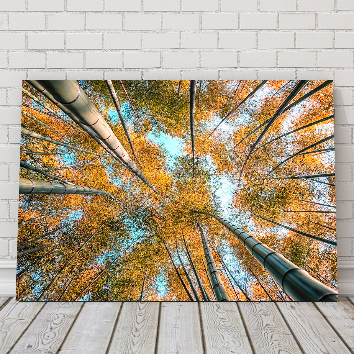 Into The Grove Wall Art