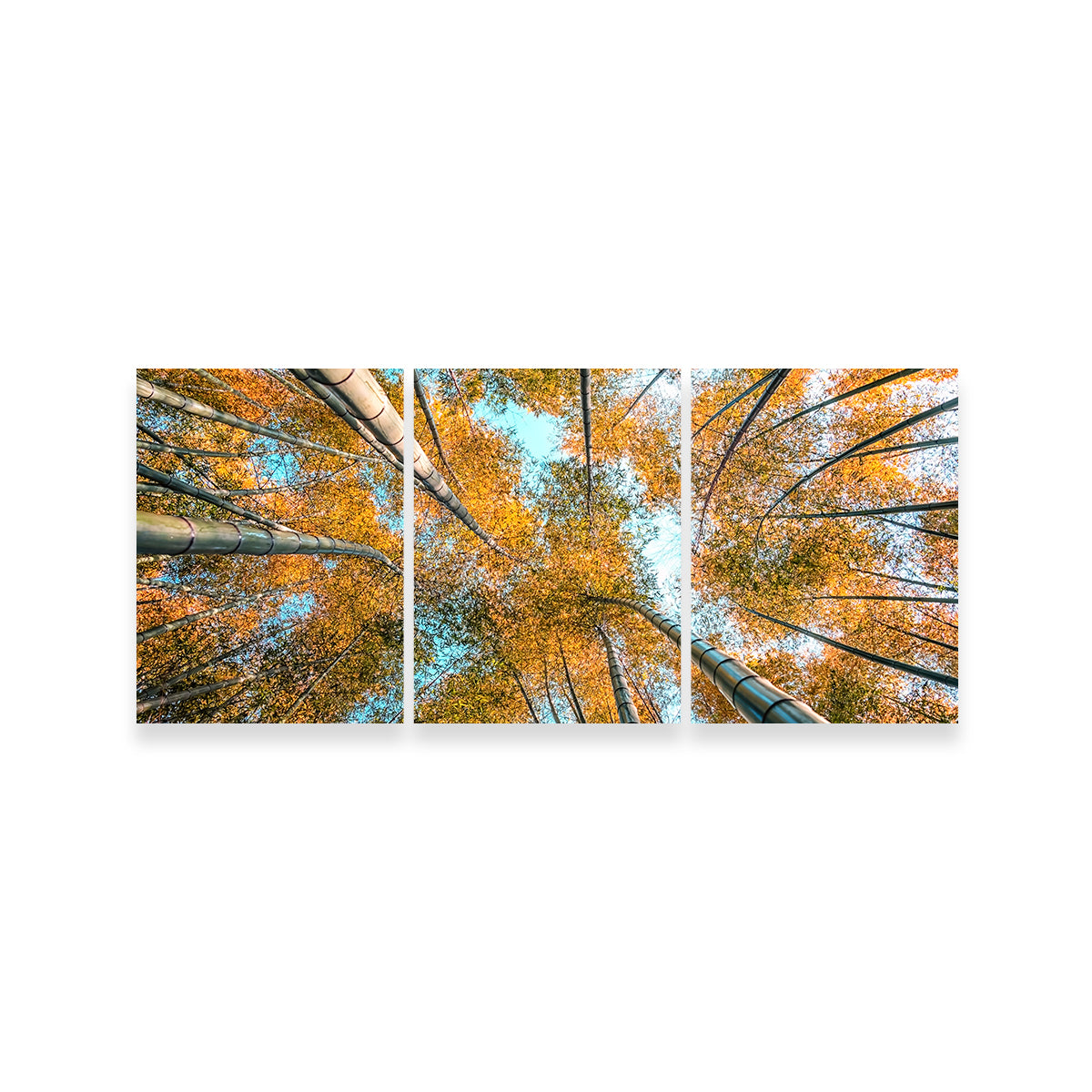Into The Grove Wall Art